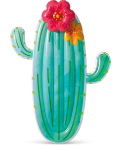 Plută-saltea gonflabilă "Cactus", 180x135x28 cm, până la 100 kg