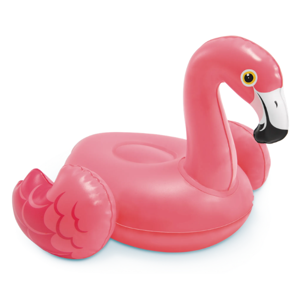 INTEX Jucarie gonflabilă pentru piscină sau cadă, 2+, 4 modele - imagine 6